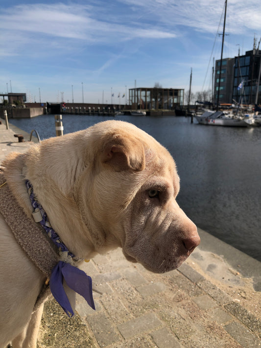 Anti teken ketting - Spring