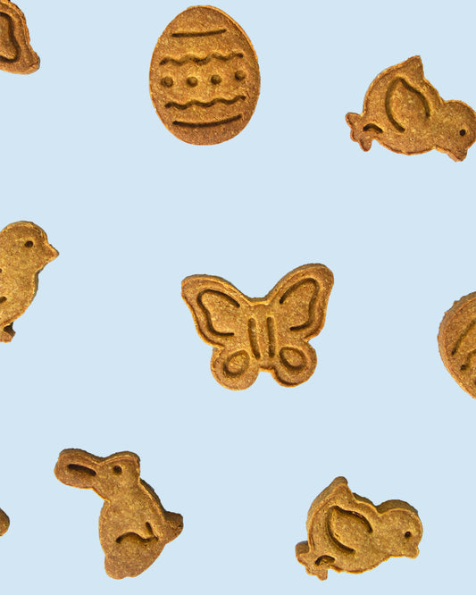 hondenpaas koekjes
