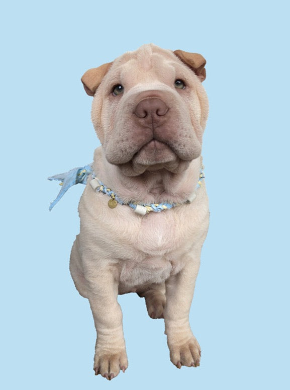 Anti teken Ketting - Fur Baby Blue