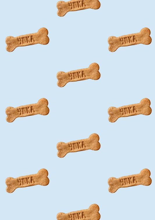 Personaliseerbare pompoen honden koekjes